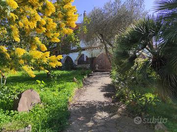 Str. per osilo - serra secca