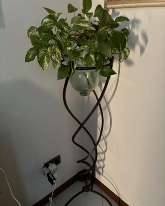 Vaso in vetro e porta vaso