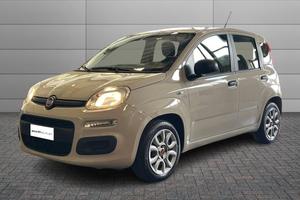 FIAT Panda 3ª serie - Panda 1.2 Pandazzurri