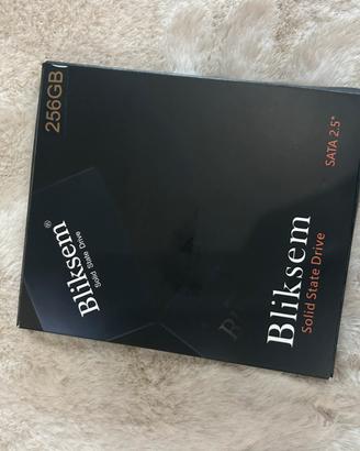 SSD Bilksem 256GB