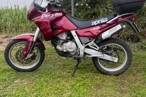 Pegaso 650