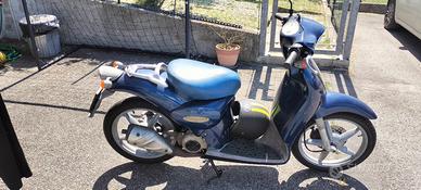 Scarabeo 50
