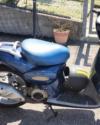 Scarabeo 50