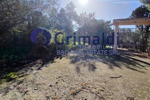 Terreno Agricolo Bagheria [TerM/2VCG]