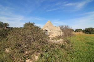 CASA DI CORTE A CEGLIE MESSAPICA