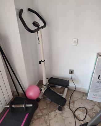 Stepper con manubrio