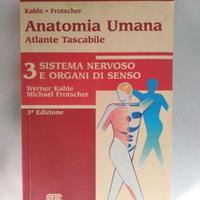 ANATOMIA Atlante tascabile Vol 3 - 9788840811949