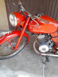 Benelli leoncino 2t