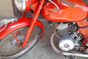 Benelli leoncino 2t