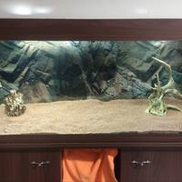 Acquario Ferplast Dubai 120 + Filtro esterno JBL