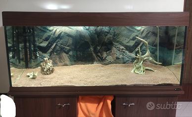 Acquario Ferplast Dubai 120 + Filtro esterno JBL