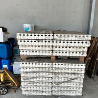 Termosifoni in ghisa Biasi PRG/LBT