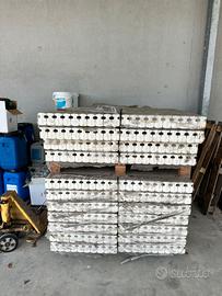 Termosifoni in ghisa Biasi PRG/LBT