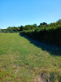Terreno agricolo