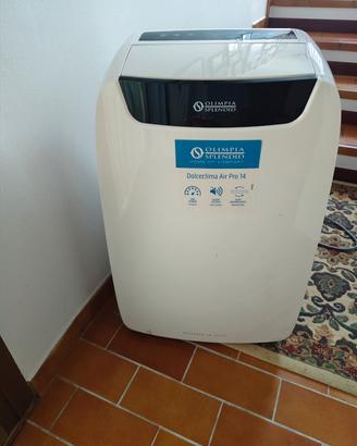 Condizionatore portatile 