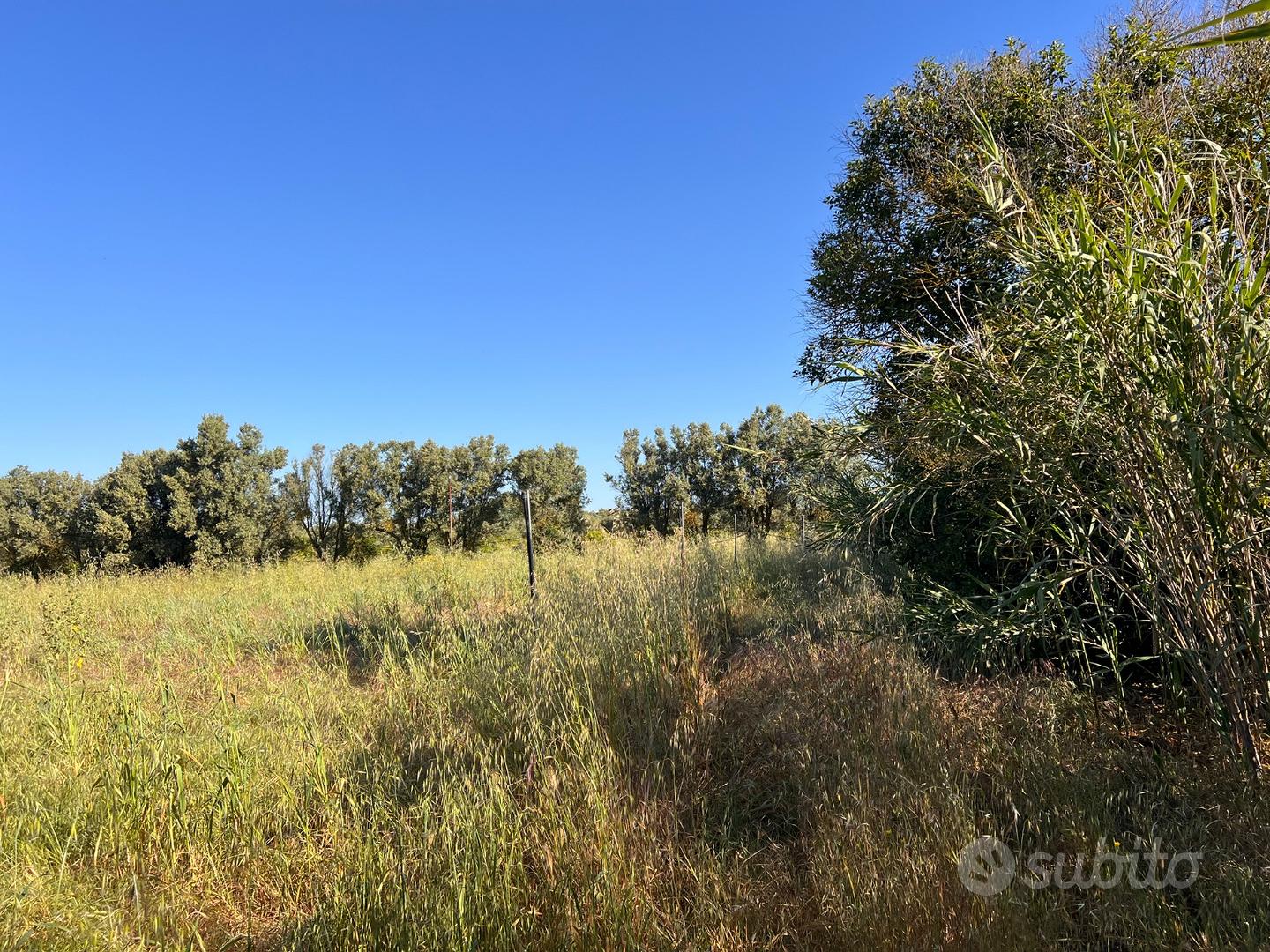 Terreno agricolo - Vista 4