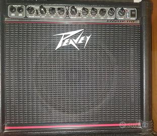 Peavey Envoy 110 ( transtube series RED STRIPE)