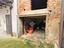 Immagine 26