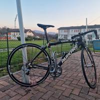 bicicletta da corsa in carbonio 