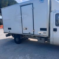 Fiat Ducato isotermico