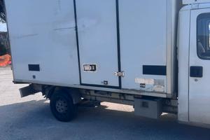Fiat Ducato isotermico
