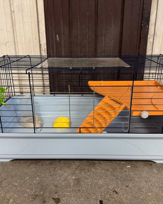 Gabbia animali