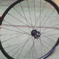 ruota  blackjack troyp rody 29 anteriore  mtb