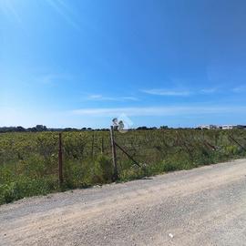 TER. AGRICOLO A MARACALAGONIS
