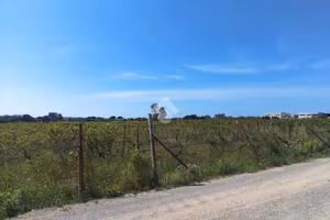 TER. AGRICOLO A MARACALAGONIS