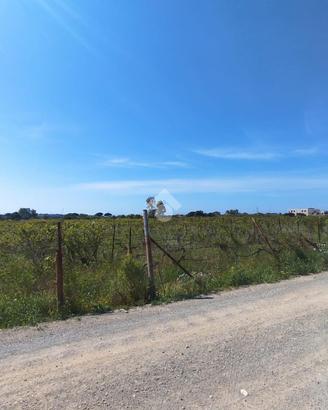 TER. AGRICOLO A MARACALAGONIS