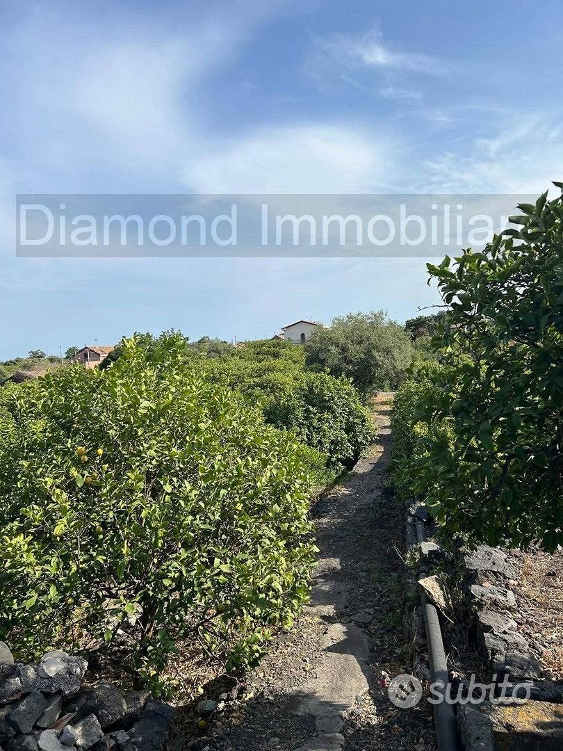 Limoneto con rustico a Pozzillo - Acireale - Vista 3
