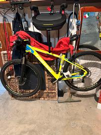 Bici carbonio torpado