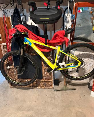 Bici carbonio torpado