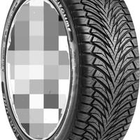 Pneumatici 235/55/17 fortune anno 2024 /  100€