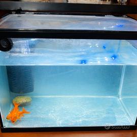 acquario 25/30 litri 