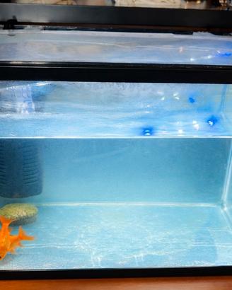 acquario 25/30 litri 