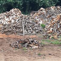 legna secca di bosco 