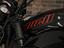 Immagine 12