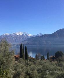 Industriale a Tremezzina