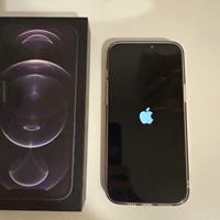 iPhone 12pro max