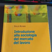 Introduzione alla sociologia del mercato del lavor