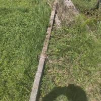 Colonne da Vigna x 20