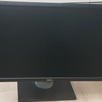 Monitor DELL P2412Hb