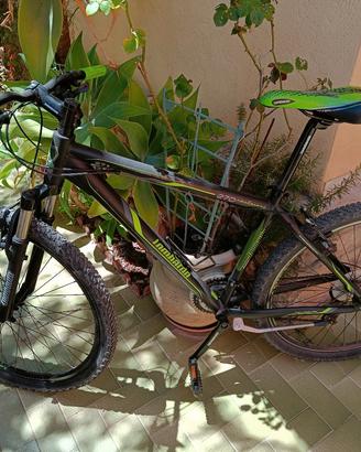 Bicicletta Lombardo Sestiere 27.0