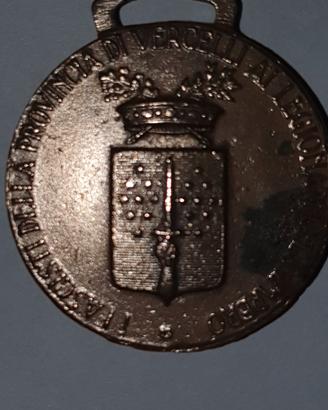 Medaglia in bronzo 128ª Legione CC.NN. Alpina