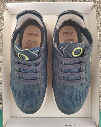 scarpa bimbo geox