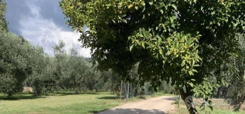 Appartamento – Velletri, Contrada Casale - Vista 2