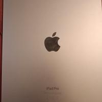 iPad pro 