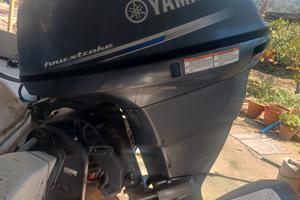 Barca con carrello omologato e motore