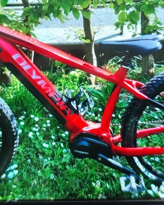 E-Bike Olympia
